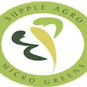 Microgreen team